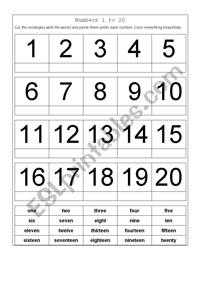 Numbers 1 to 20 worksheet