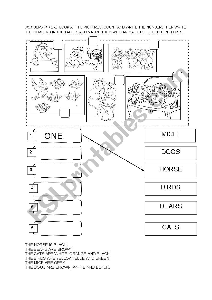 numbers 1 to 6 worksheet