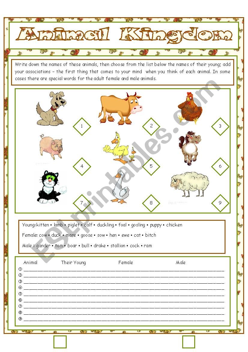 Animal Kingdom worksheet