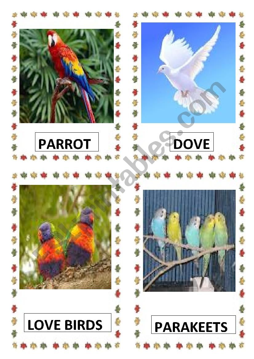 BIRDS PART 1  worksheet