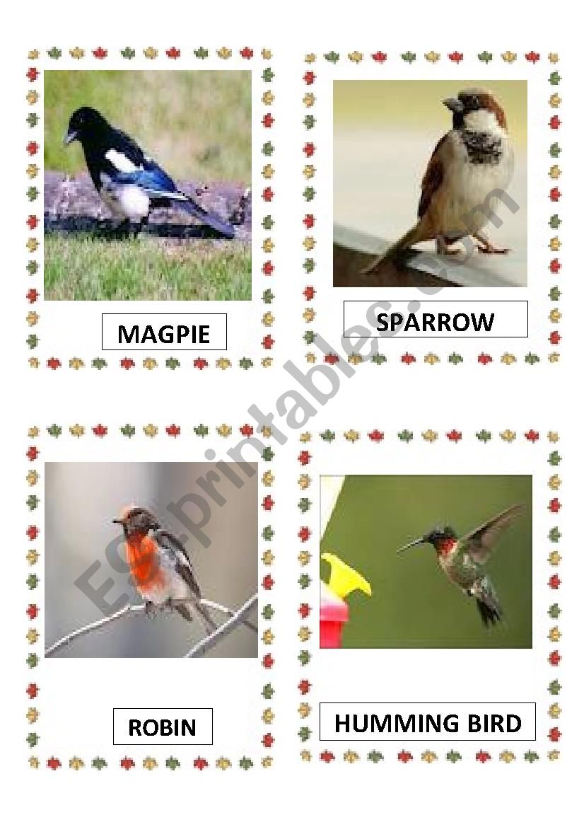 BIRDS PART-6 worksheet