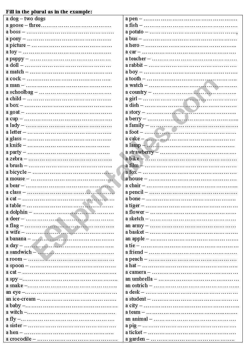 Plurals worksheet