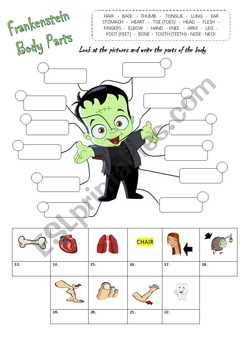 Parts of the Body - Halloween worksheet