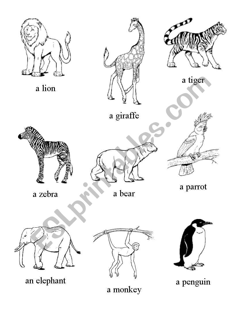 Zoo animals worksheet