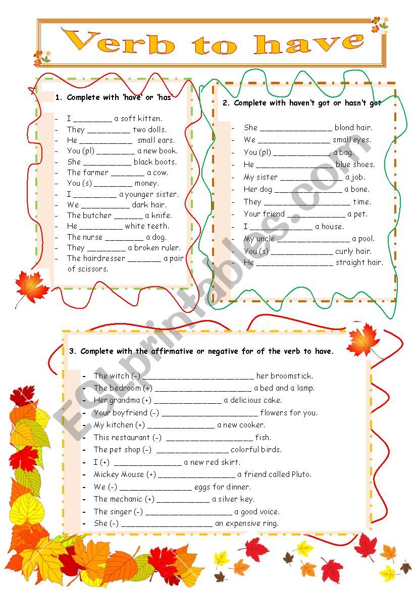 Verb To Have worksheet