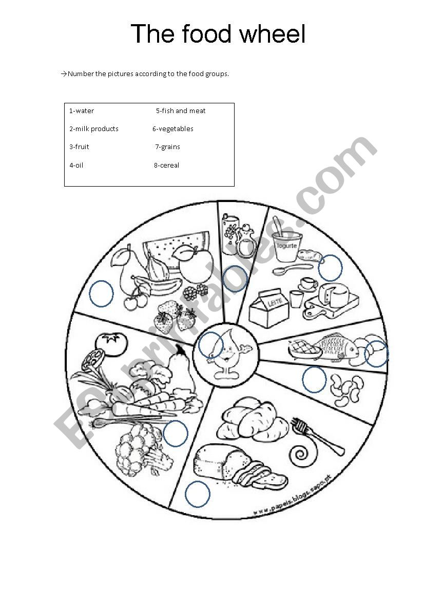 The food wheel - ESL worksheet by benedita