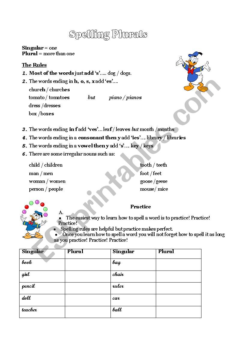 spelling plurals worksheet