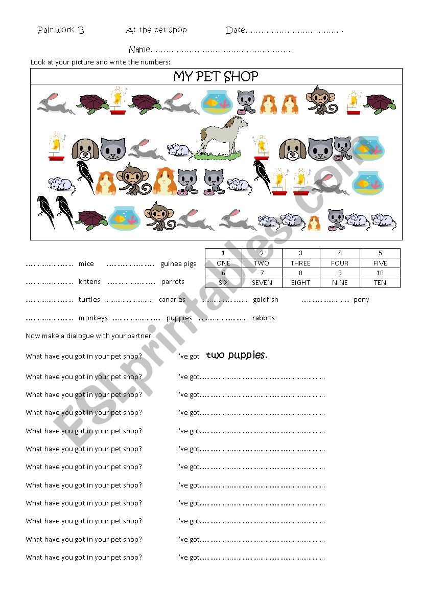 At the Pet Shop (B) worksheet