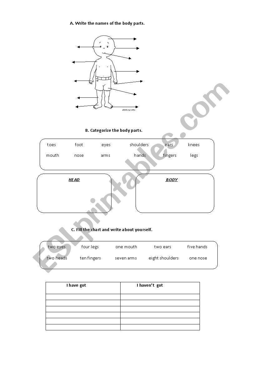 Body Parts worksheet