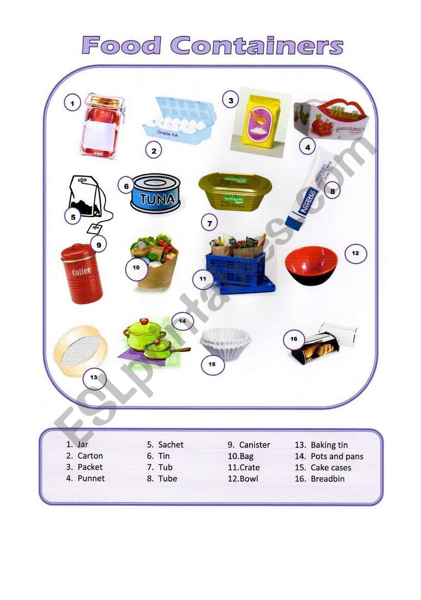 Food Containers worksheet