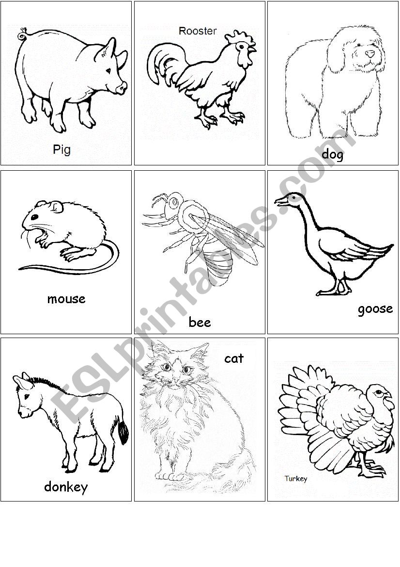 farm animals flashcards (set 2)