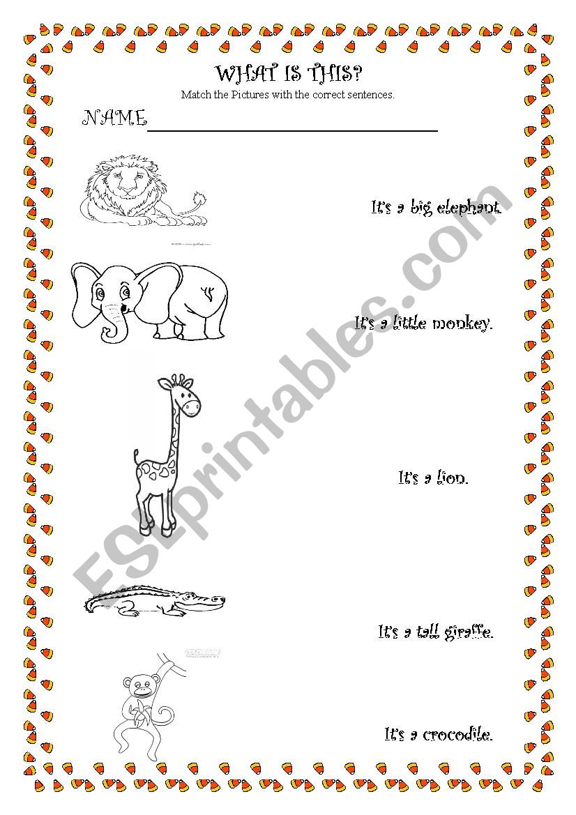 Animals worksheet