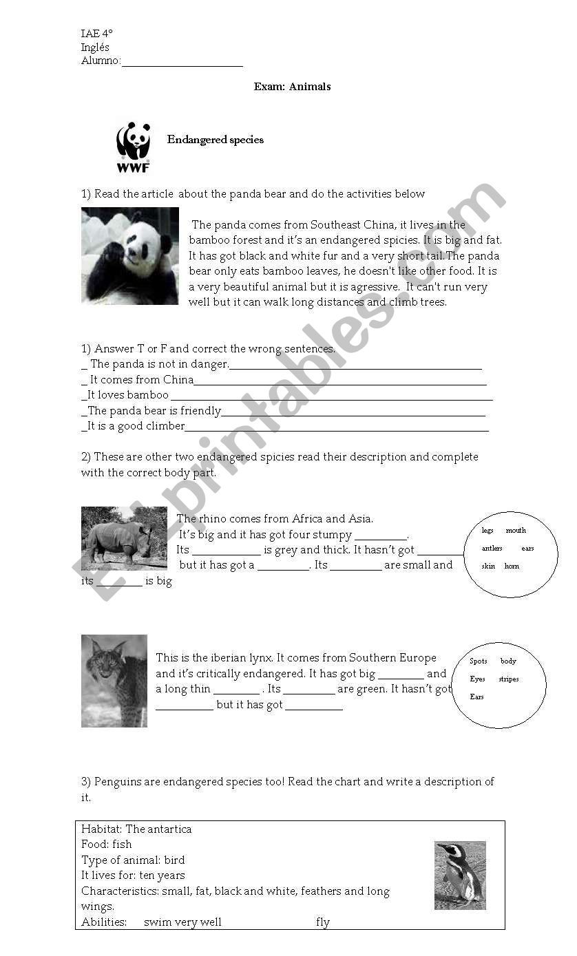 exam on animals descriptions worksheet