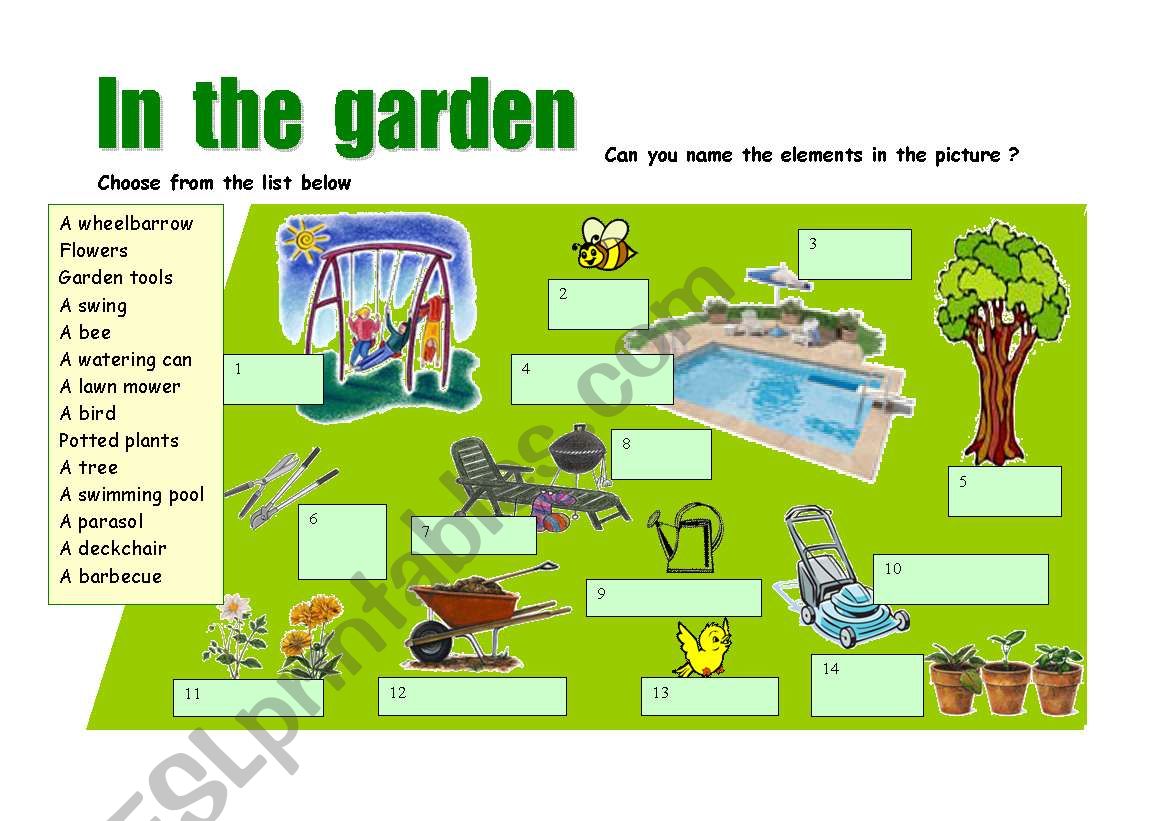 IN  THE  GARDEN worksheet