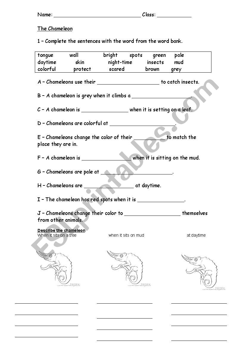 The chameleon worksheet