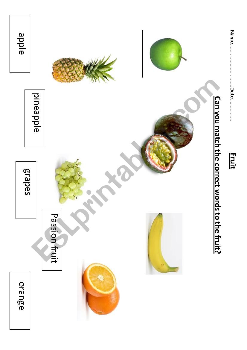 fruit picture and word match worksheet
