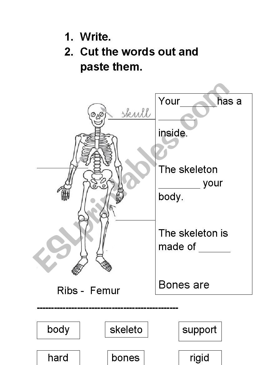 The skeleton worksheet