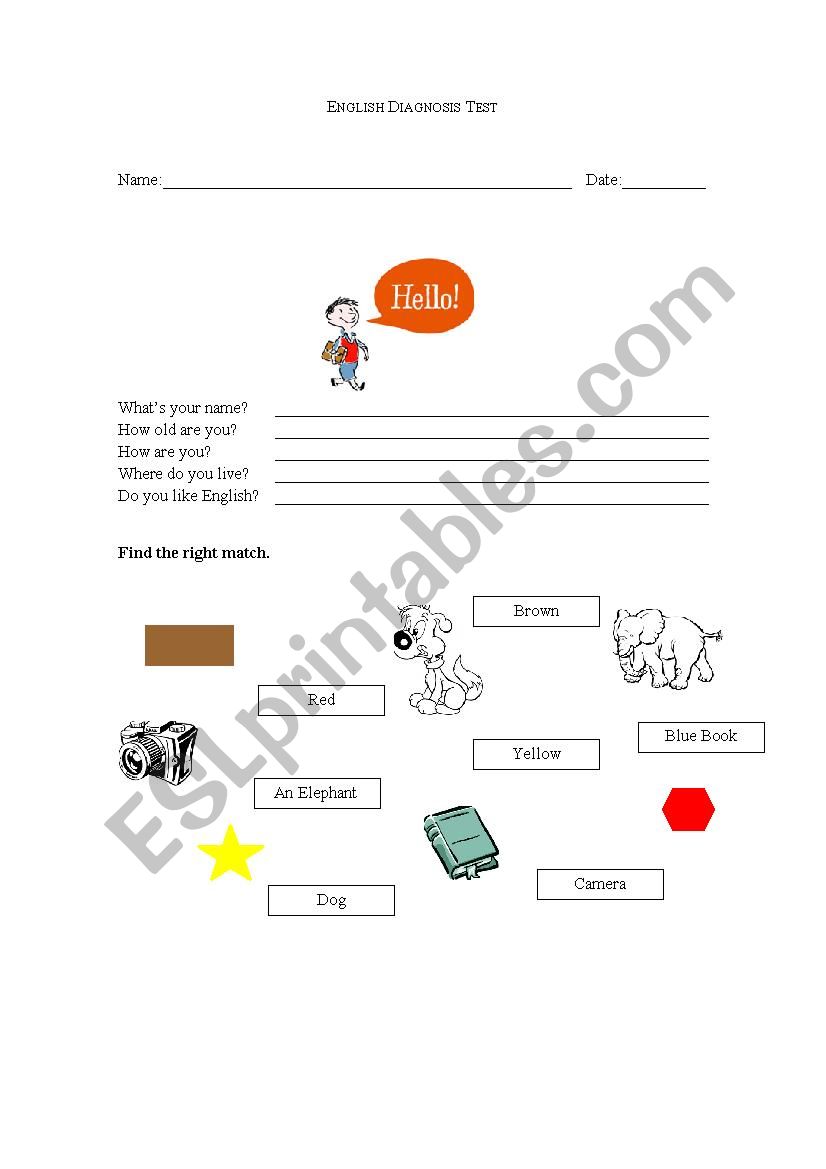 English Diagnosis Test worksheet