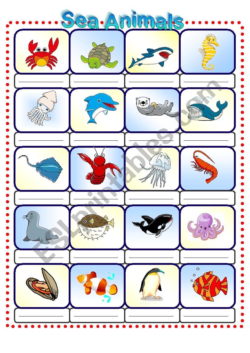 Sea Animals worksheet