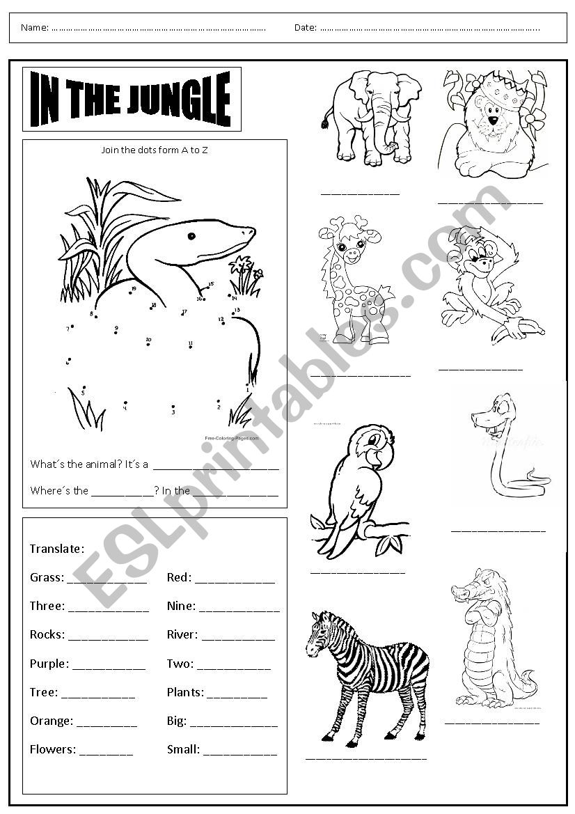 Animals in the jungle worksheet
