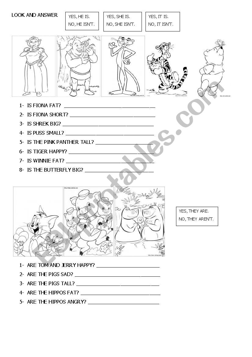 Answer yes-no questions  worksheet