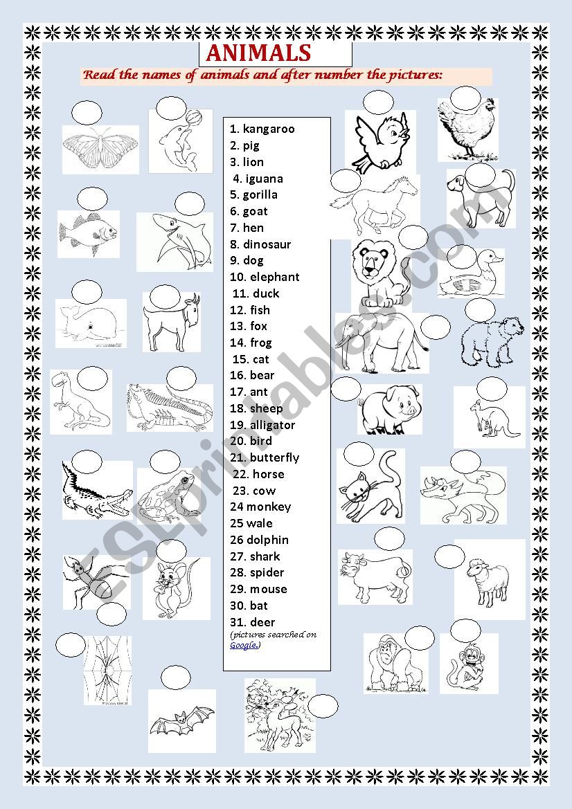 Animals worksheet