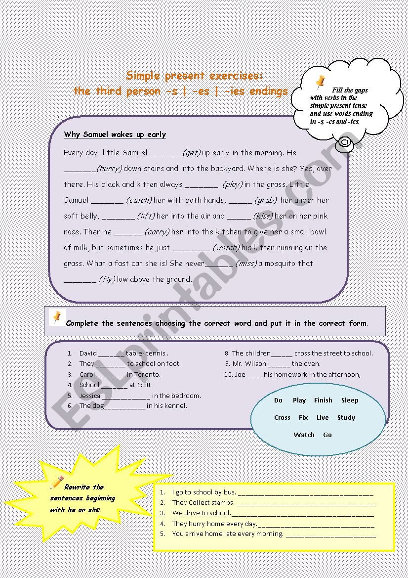 Third person singular worksheet