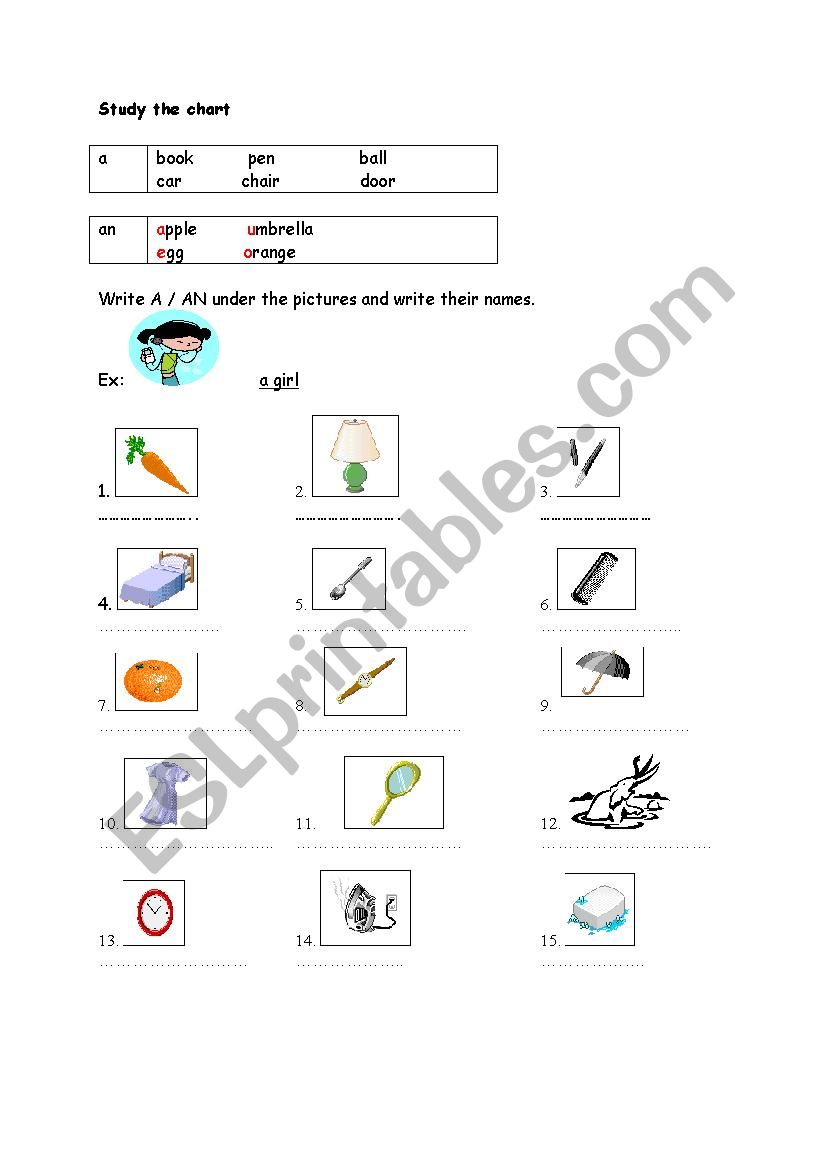 a/an singular-plural worksheet