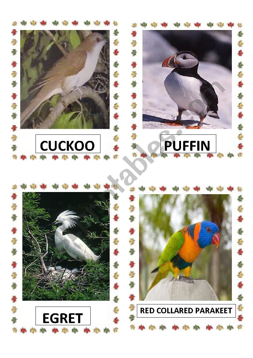 BIRDS PART-7 DOC. worksheet