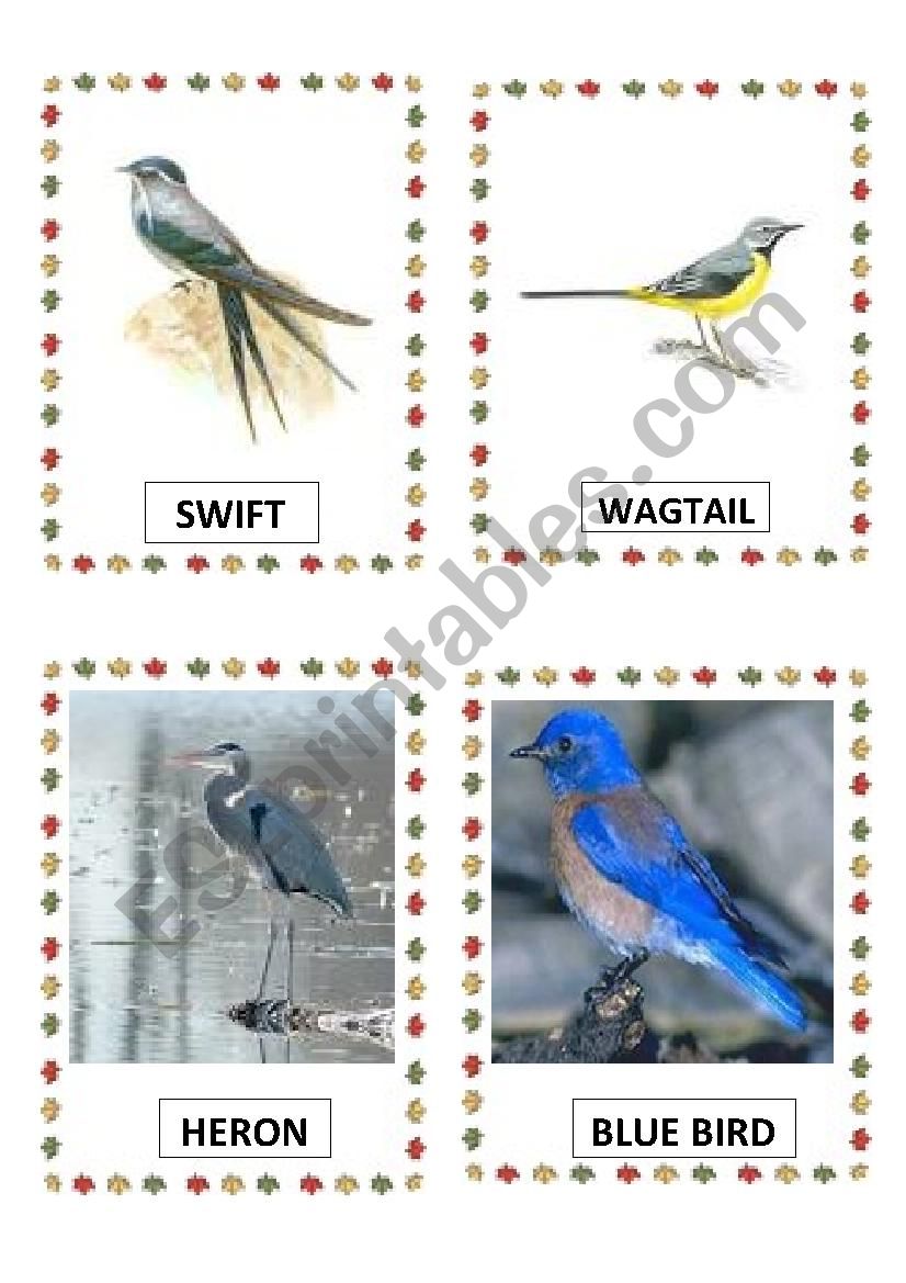 Birds PART-8 DOC. worksheet