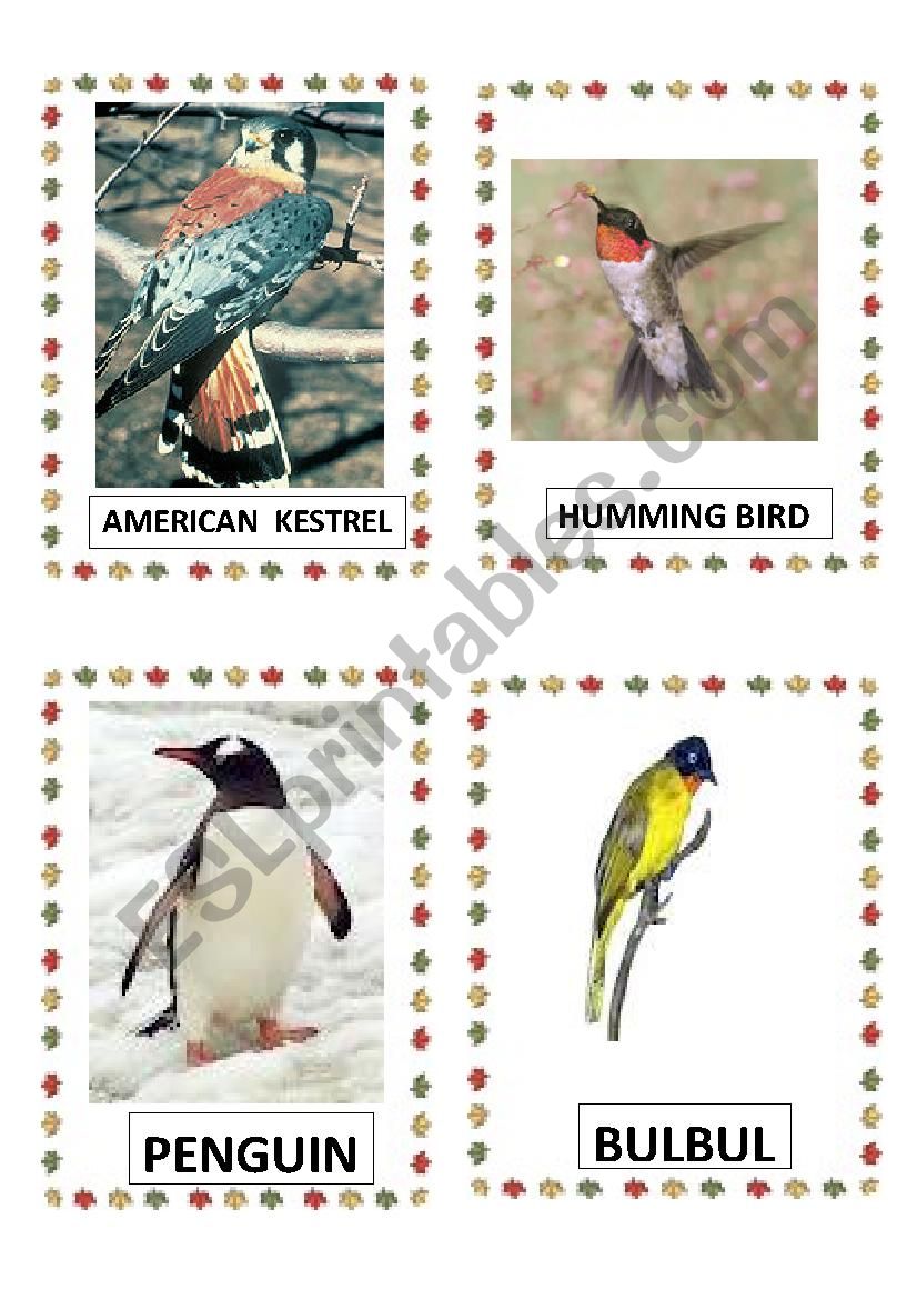 BIRDS PART-9 DOC. worksheet