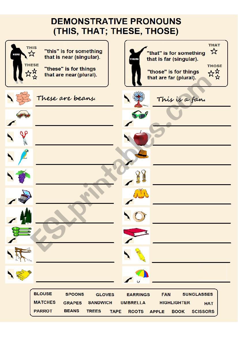 Demonstrative Pronouns/Adjectives