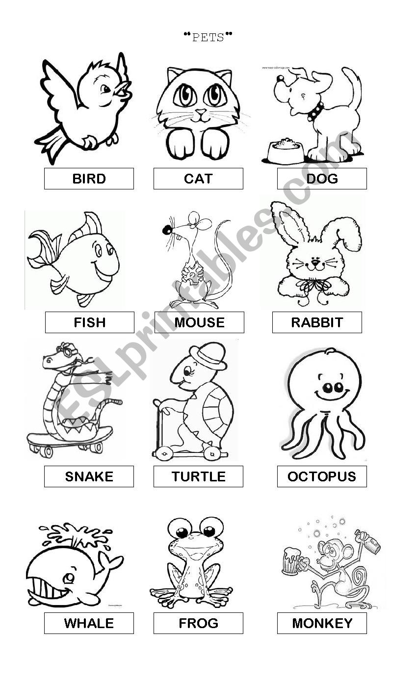 Pets worksheet