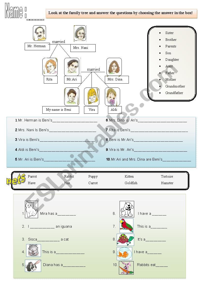 review test family and pets worksheet