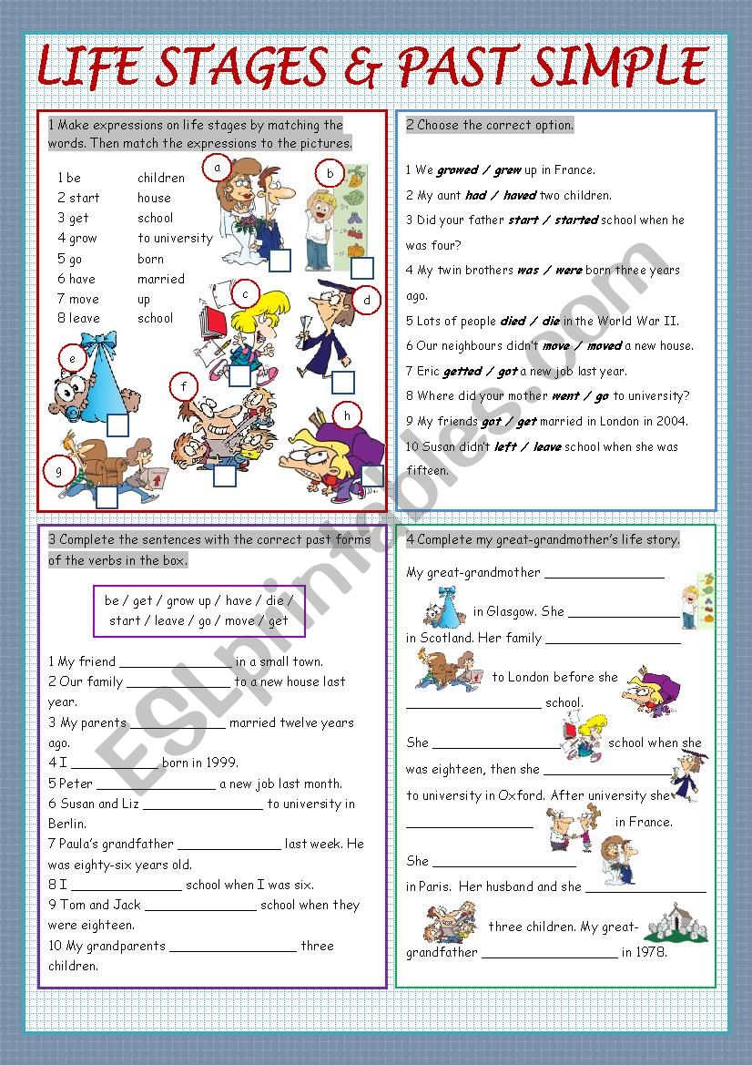 Life Stages & Past Simple worksheet