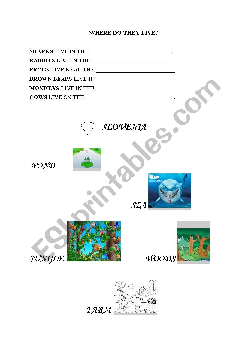 Where do they live worksheet