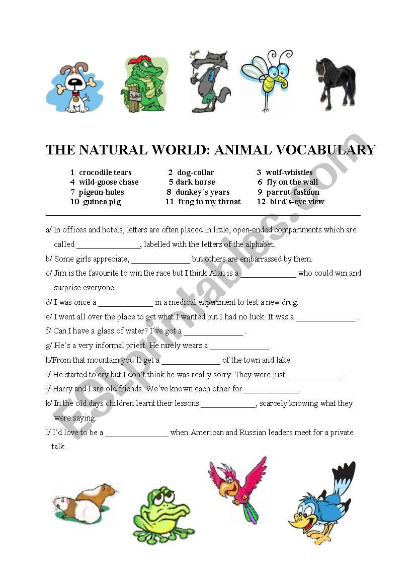 Animal Idioms worksheet