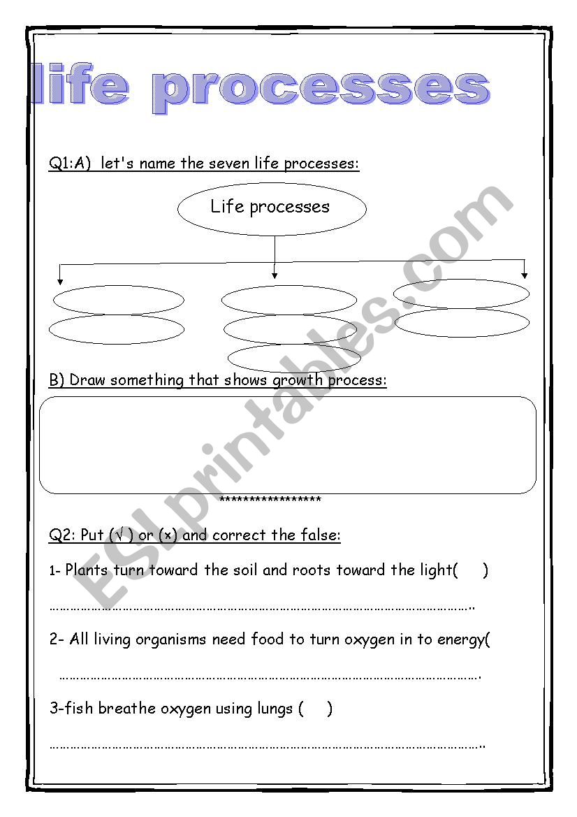 life processes worksheet