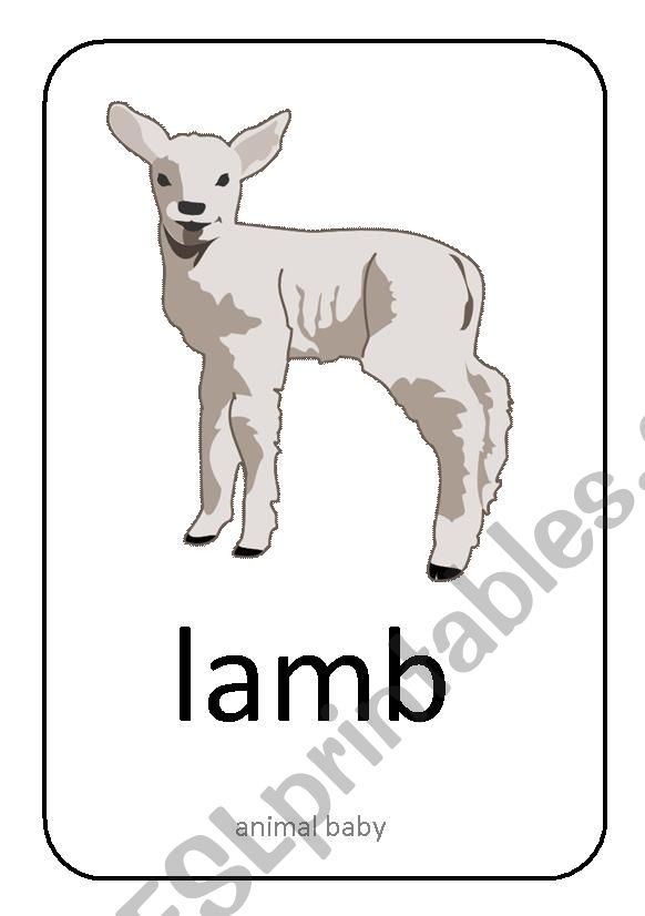 Farm animals (5) worksheet