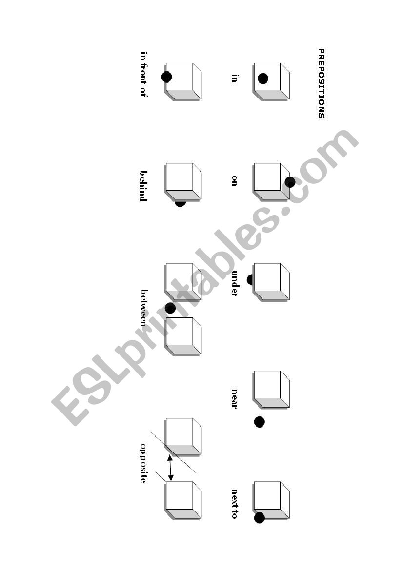 Prepositions worksheet