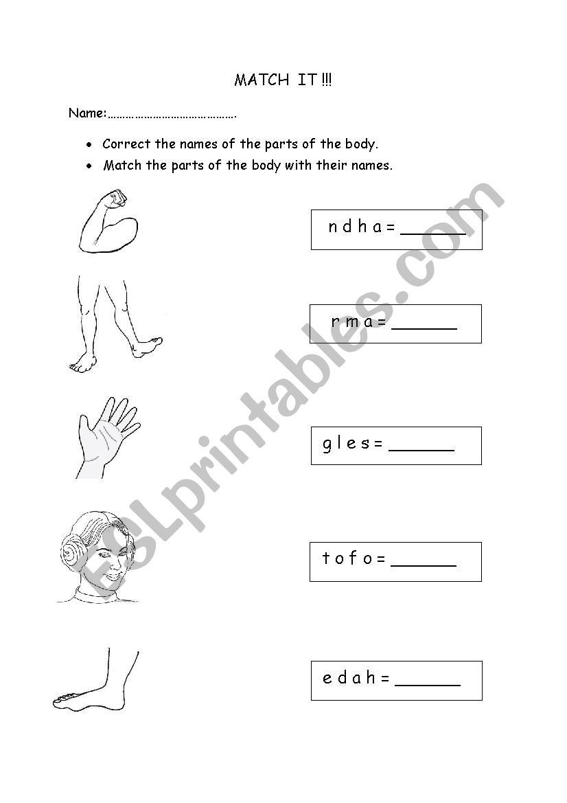 matching body parts worksheet