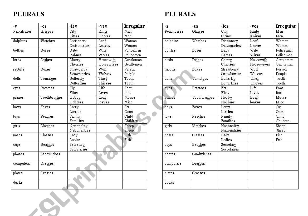 plurals worksheet