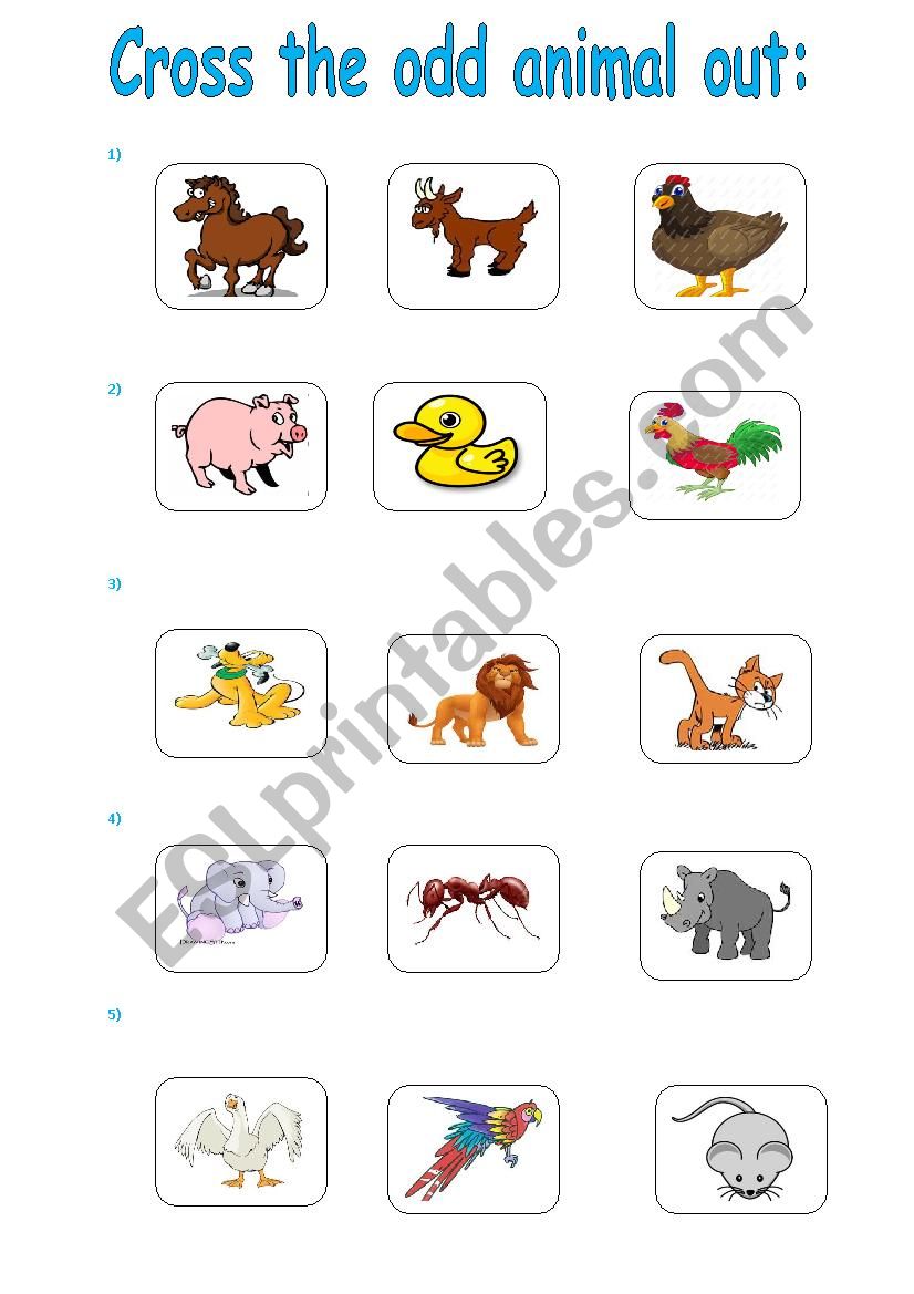 animals-cross the odd one out worksheet