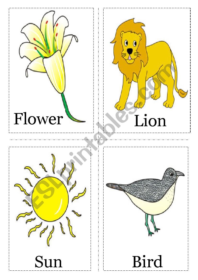 Flashcard worksheet