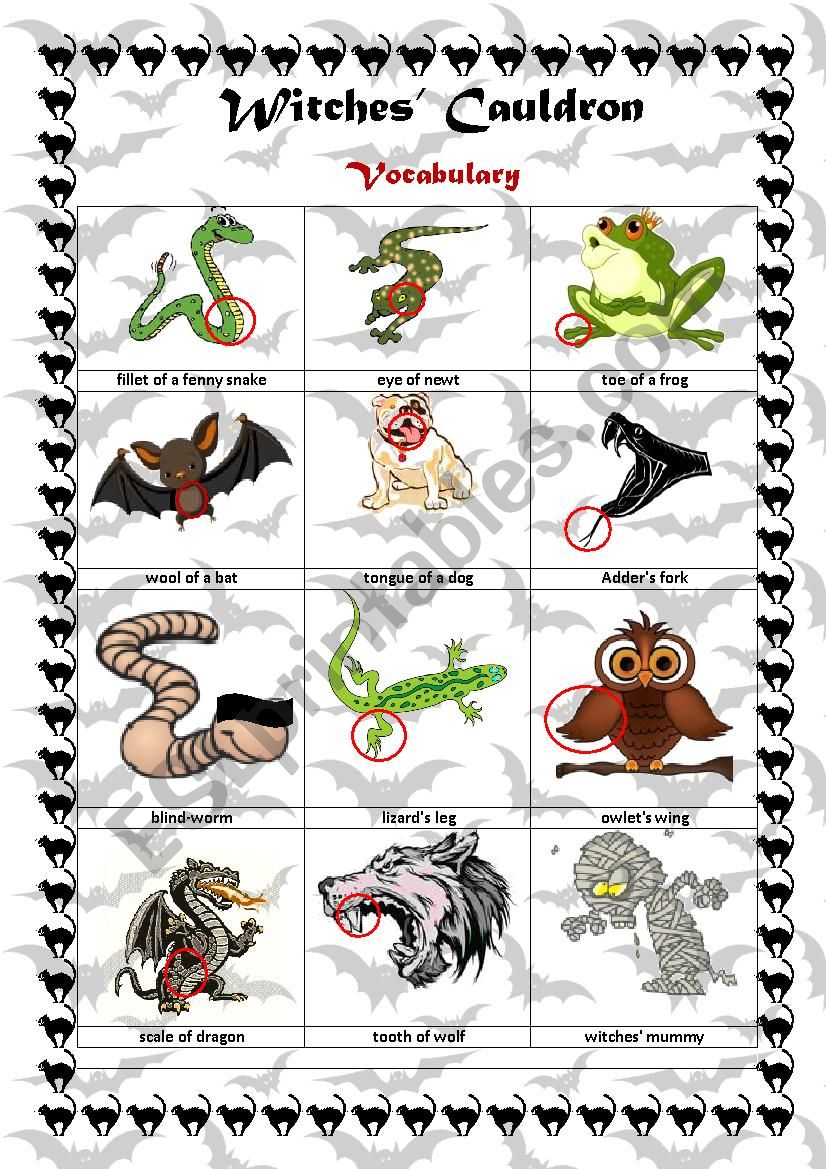 Witches Cauldron/Vocabulary worksheet