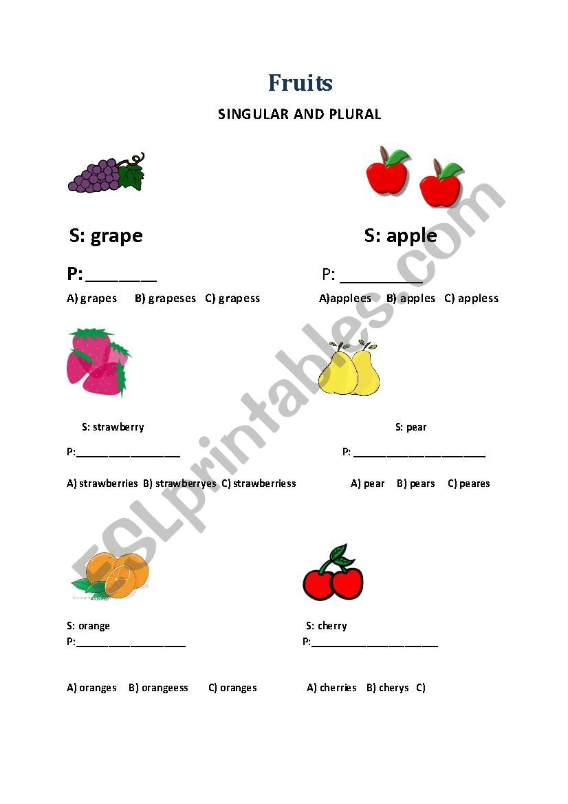 singular and plural  worksheet