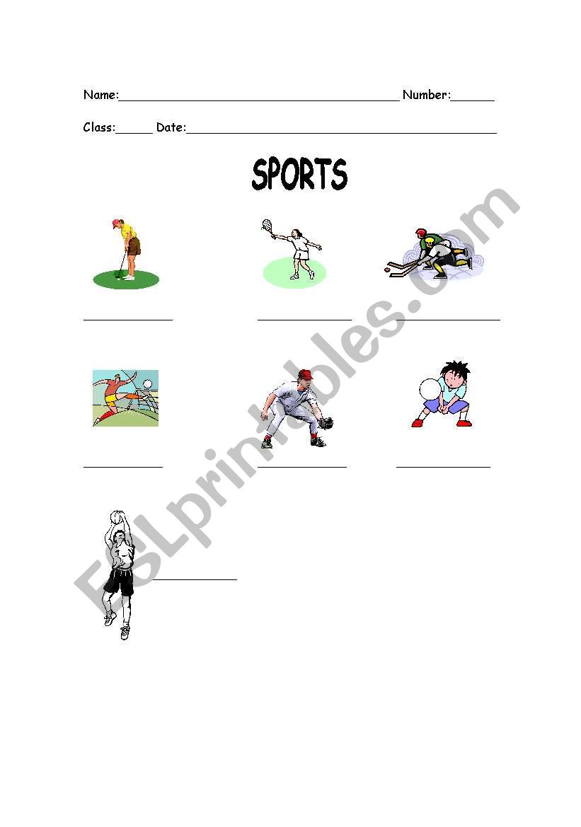 Sports worksheet