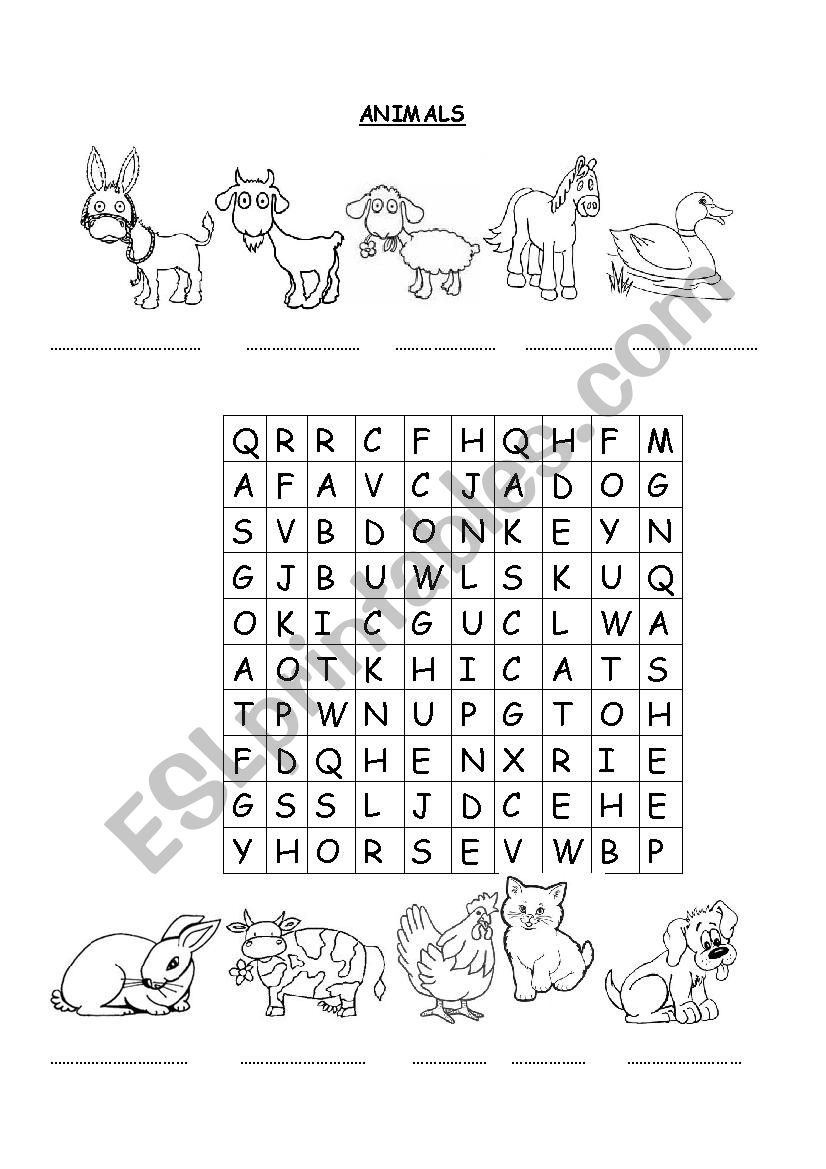 animals worksheet