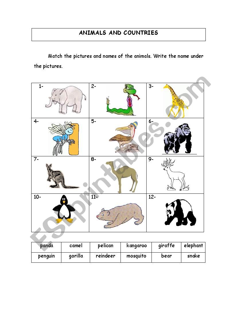 Animals and countries - ESL worksheet by carlasaduarte