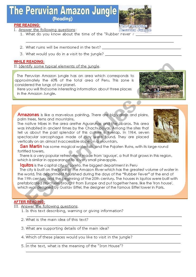 The Peruvian Amazon Jungle worksheet